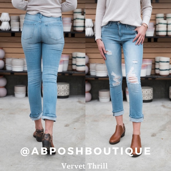 vervet by flying monkey